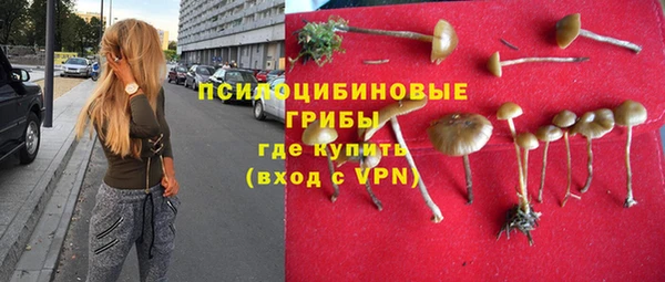 герыч Новозыбков