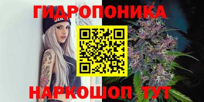 шишки Канаш