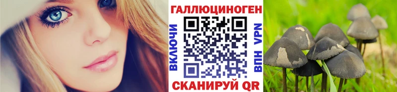 кракен онион  Ставрополь  Псилоцибиновые грибы Magic Shrooms  купить наркотик 