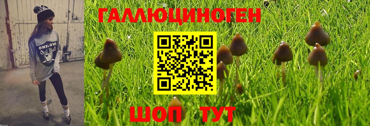 Псилоцибиновые грибы мухоморы Ставрополь