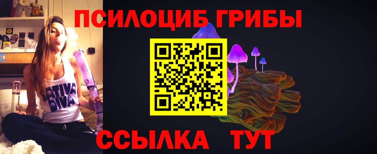 Ставрополь  Псилоцибиновые грибы мухоморы  Вход с VPN 